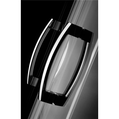 Душевая дверь в нишу Radaway Premium Plus DWD 160 прозрачное стекло 33363-01-01N